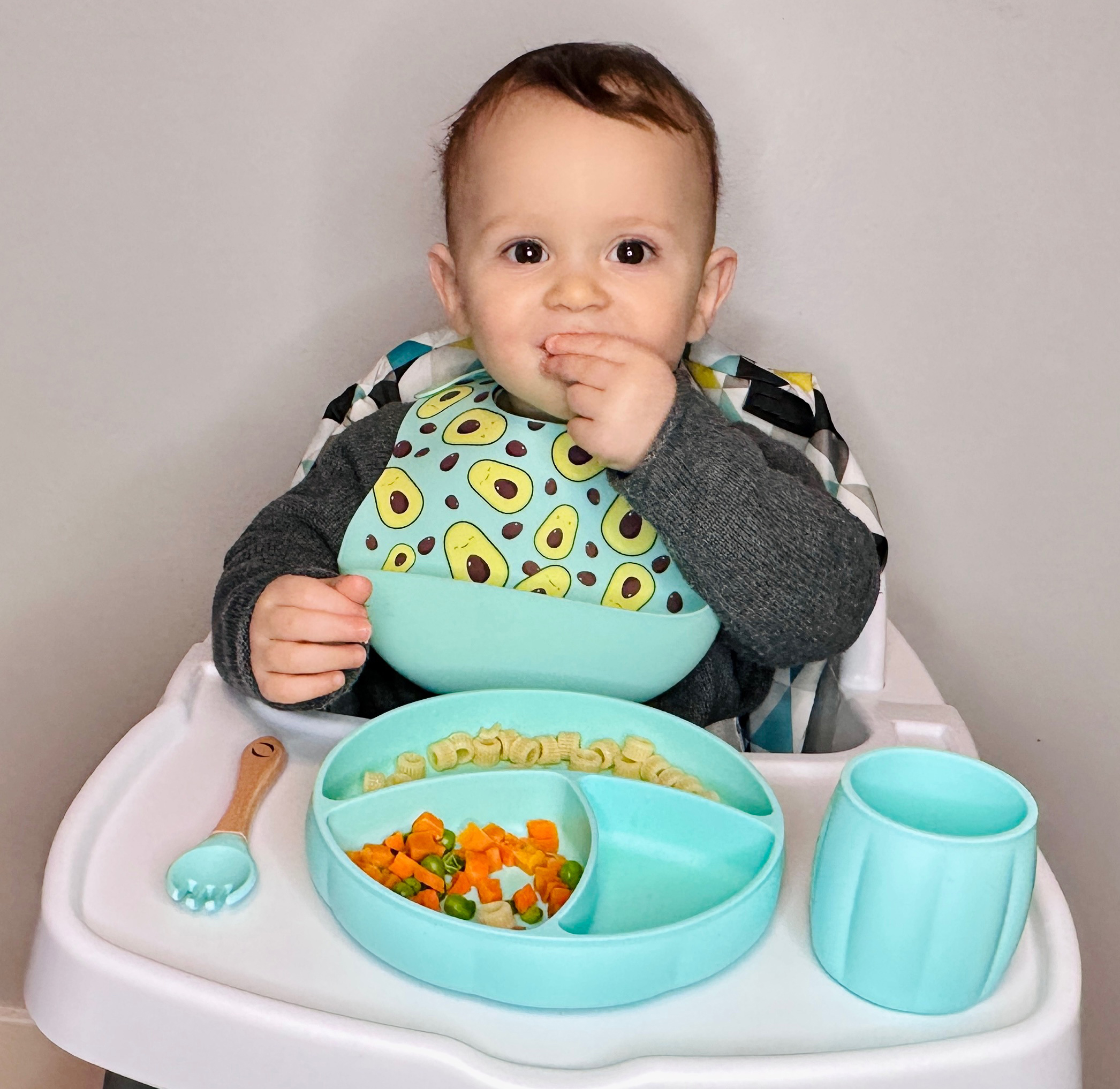 Baby Led Weaning: Luxury Baby Feeding Set